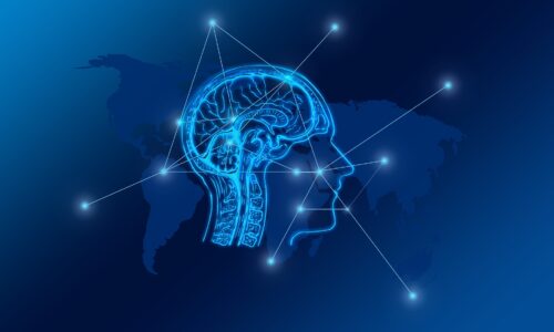 Human brain