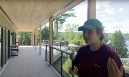 Wippi News | Dinning Hall Update
