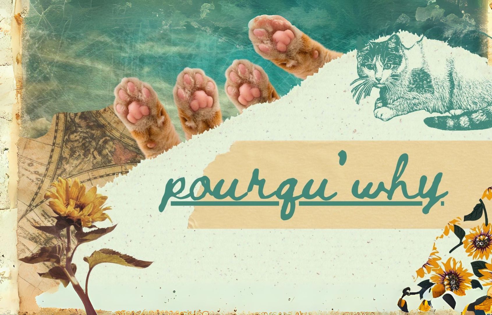 Pourqu’why | Cat’s Meow